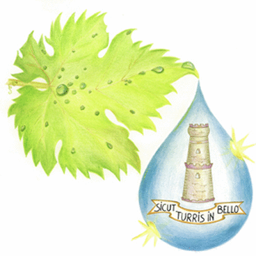 Goccia di rugiada Logo