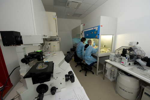 Sostieni la ricerca sull'Alzheimer Image