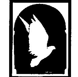CDS Reggio Emilia Onlus Logo
