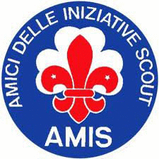 AMIS Logo