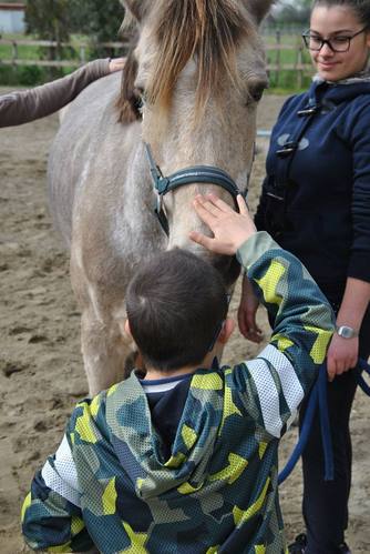 UN SORRISO A CAVALLO Image