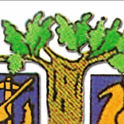 A.N.L.A. ONLUS logo