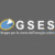 G.S.E.S. ONLUS logo