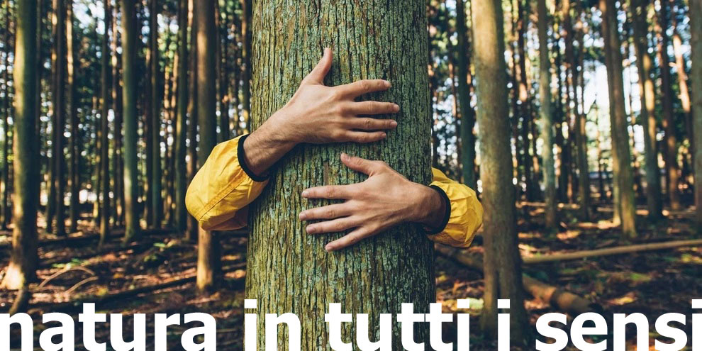 Natura in tutti i sensi Image