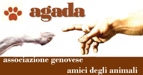 Organizzazione Image