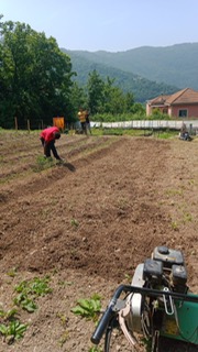 Dono di Squadra - Progetto ecovillaggio  Image