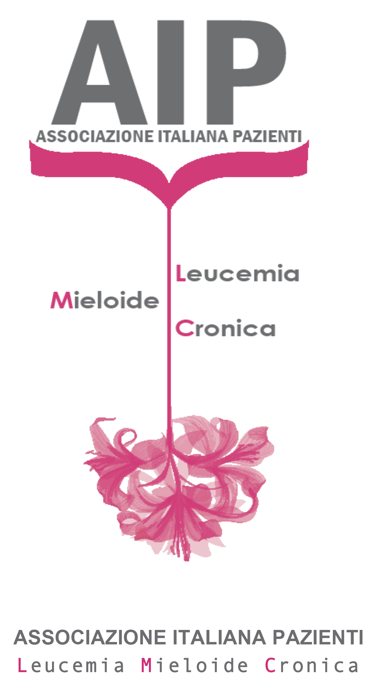 A.I.P.L.M.C. Logo