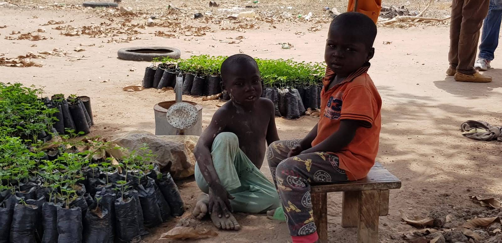 Coltivare vita e opportunità nel Nord del Camerun Image