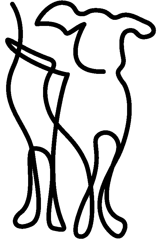 Vitadacani Logo