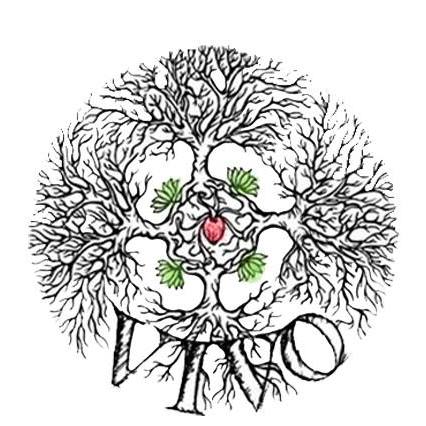 Organizzazione Image