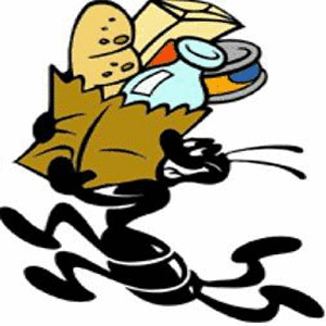 Banco Solidarietà Campobasso Logo