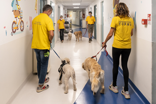 Il sorriso di Blu - Pet Therapy per i pazienti della Neuropsichiatria Infantile Regina Margherita Image