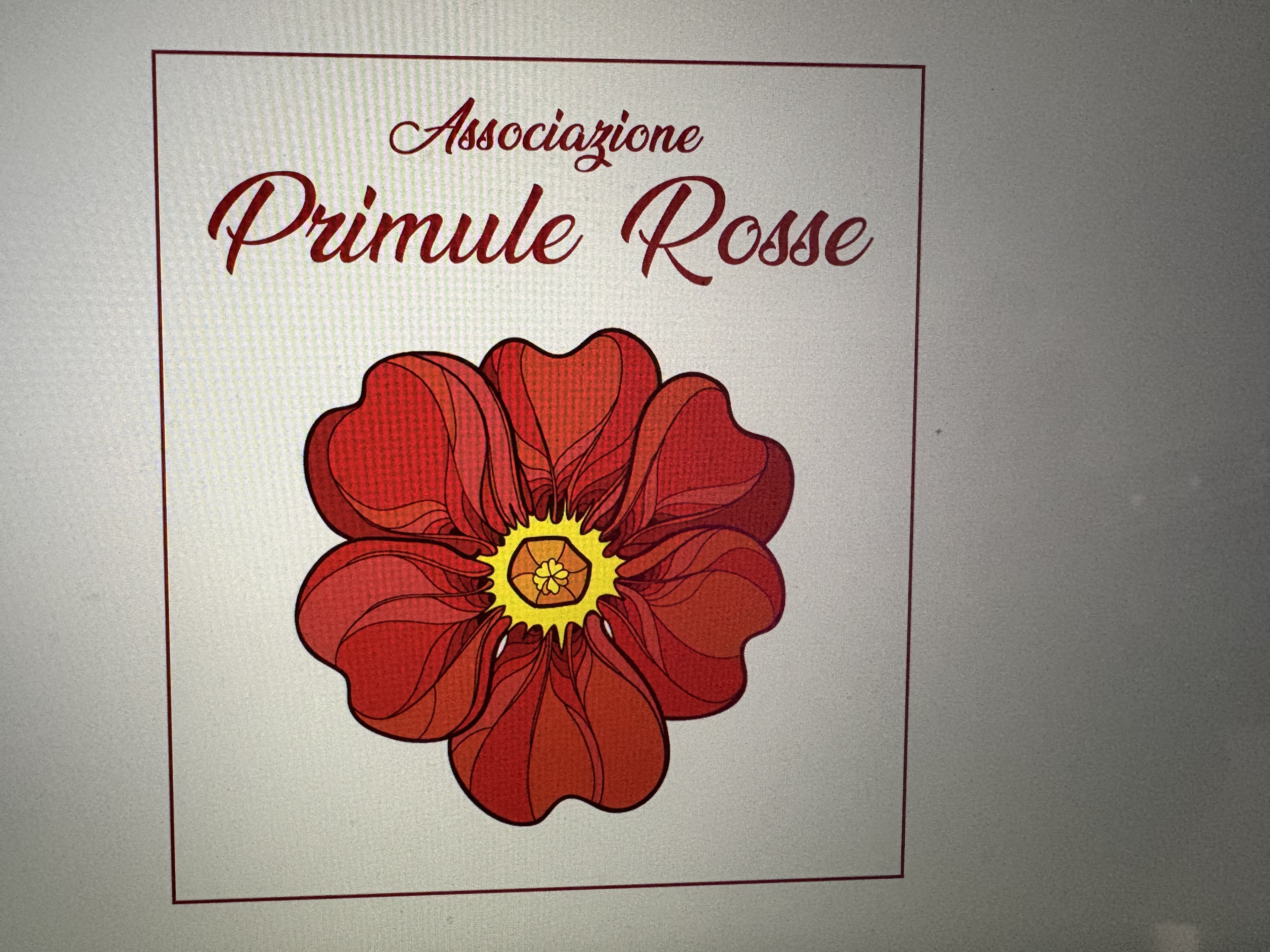 Primule Rosse