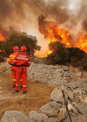 Attività in supporto per Emergenza Covid e sul territorio Image