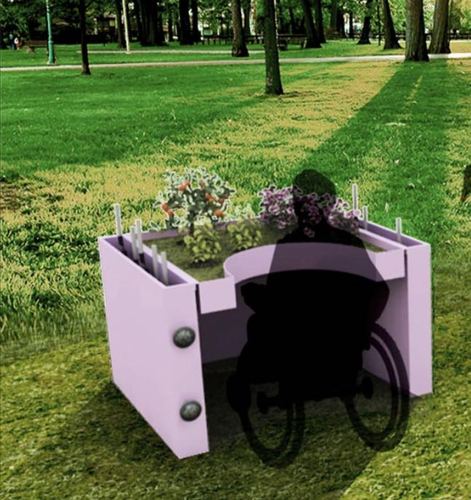 I semi dell'inclusione Image