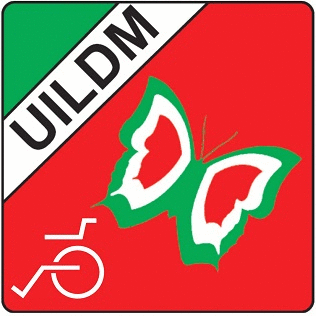 UILDM SEZIONE DI PALERMO Logo