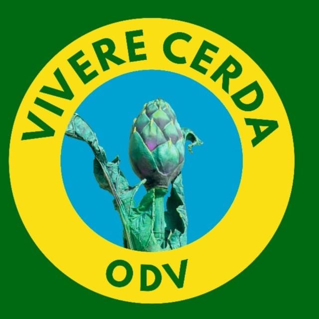 Organizzazione Image