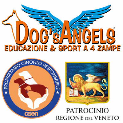 ASD Dog's Angels Logo