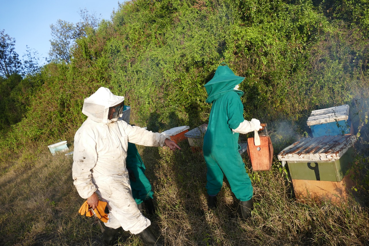 Per un mondo più dolce - Formazione in apicultura, protezione ambientale e sviluppo comunitario presso Welcome to the Family, Nakuru (Kenya)