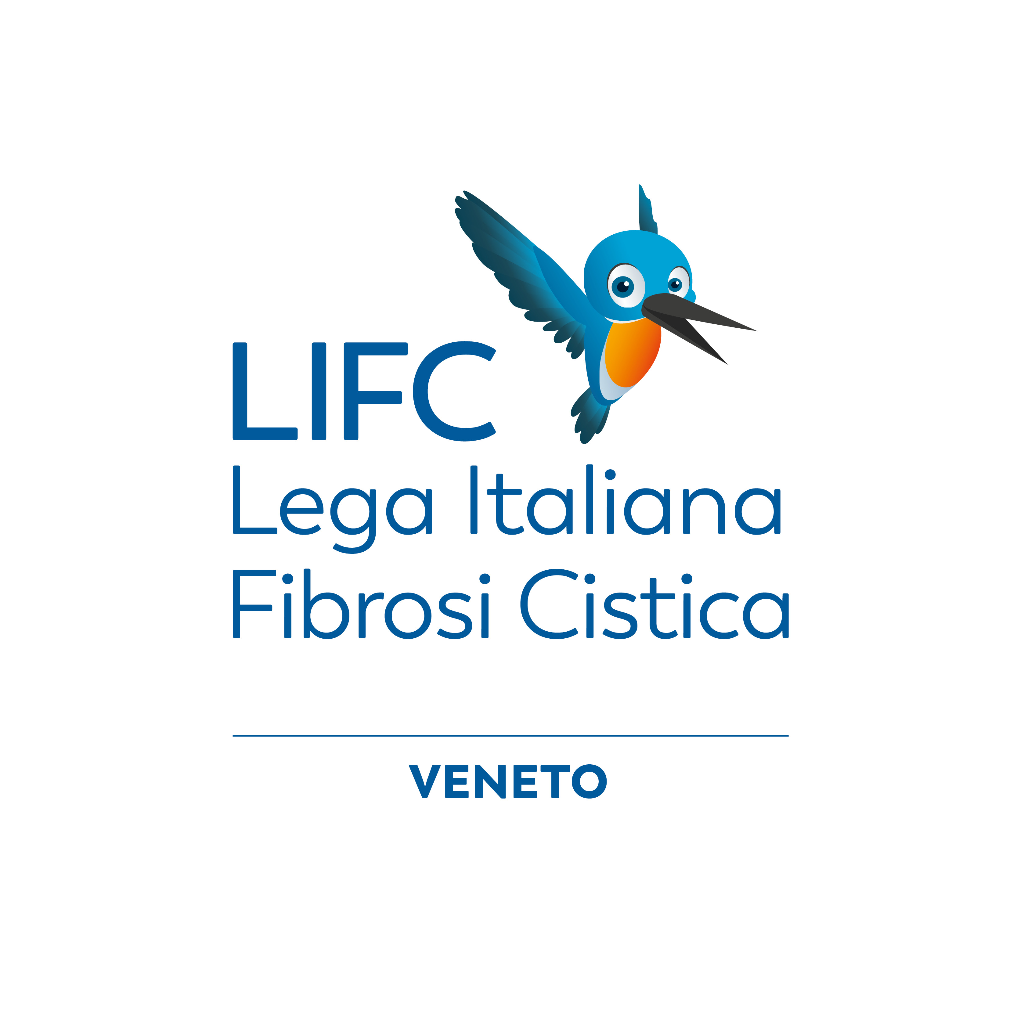 Organizzazione Image